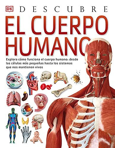 El cuerpo humano, Descubre WALKER, RICHARD