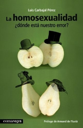 La homosexualidad ¿dónde está nuestro error?