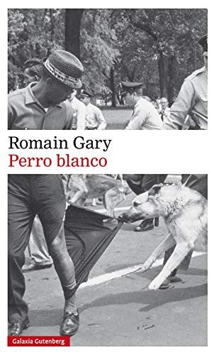 Perro blanco [Paperback] Romain Gary
