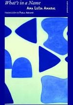 What´s in a name [Paperback] Amaral, Ana Luisa and Abramo, Paula