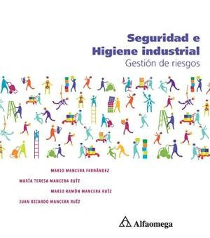 Seguridad E Higiene Industrial (Spanish Edition) [Textbook Binding] MANCERA, Juan Ricardo | MANCERA, María Teresa | MANCERA, Mario José | MANCERA, Mario Ramón