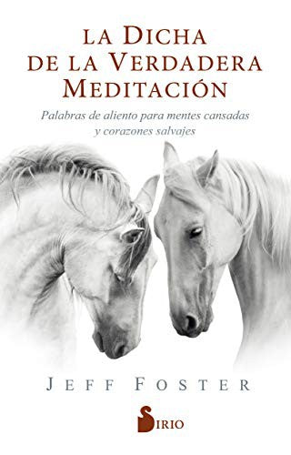 La dicha de la verdadera meditación: Palabras de aliento para mentes cansadas y corazones salvajes [Paperback] Jeff Foster